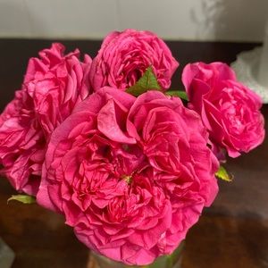 Meet your Posher, Sheila